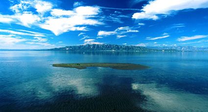 Real Estate Peniscola Vilas and Ebro River Delta